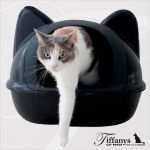 Vorlage Katzentoilette Schönste Katzentoiletten Hundehalsbänder Online Kaufen