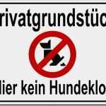 Vorlage Kein Hundeklo Süß Kein Hundeklo Hundekot Hundehaufen 15x10 Bis 20x30cm Alu