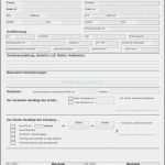 Vorlage Kfz Kaufvertrag Privat Inspiration Kaufvertrag Gebrauchte K Che Jtleigh – Vorlagen 365