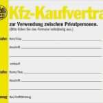 Vorlage Kfz Kaufvertrag Privat Süß sofort Kredit Vom Pfandhaus In Graz