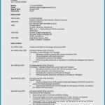 Vorlage Klappkarte Word Gut Amerikanischer Lebenslauf Vorlage Word Papacfo