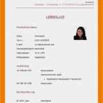 Vorlage Kofferanhänger Einzigartig Steckbrief Erzieherin Kindergarten Vorlage 19 Steckbrief