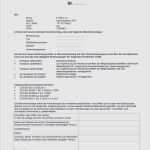 Vorlage Konformitätserklärung Wunderbar Konformitätserklärung Reach Vorlage Großartig Fein