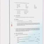 Vorlage Kündigung Arbeitnehmer Pdf Wunderbar Kundigungsschreiben Minijob Arbeitnehmer Vorlage Kostenlos