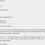 Vorlage Kündigung Handyvertrag Word Cool Kündigung Strom Vorlage Word Kundigung Handyvertrag