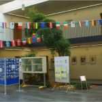 Vorlage Kündigung Kabelanschluss Best Of Hilfe Handy Ins Klo Gefallen