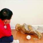 Vorlage Kündigung Private Haftpflichtversicherung Schönste Private Haftpflichtversicherung Darauf Kommt Es An