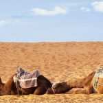 Vorlage Kündigung Reiseversicherung Berlin Direkt Großartig Reisesicherheit nordafrika In Welche Länder Können Sie