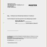 Vorlage Kündigung Verein Erstaunlich 12 Kündigung Verein Muster