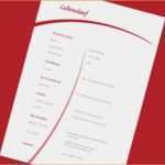 Vorlage Kurzbewerbung Kostenlos Cool Bewerbungsdesign Vorlagen Kostenlos Reimbursement format
