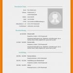Vorlage Lebenslauf 2018 Luxus 15 Lebenslauf Vorlage Schweiz 2018