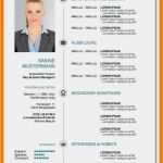 Vorlage Lebenslauf 2018 Wunderbar 15 Kurzprofil Vorlage Word