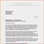 Vorlage Lebenslauf Akademiker Gut 13 Bewerbung Akademiker Anschreiben