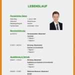 Vorlage Lebenslauf Akademiker Wunderbar 12 Muster Lebenslauf Akademiker