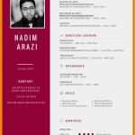 Vorlage Lebenslauf Akademiker Wunderbar 12 Muster Lebenslauf Akademiker