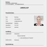 Vorlage Lebenslauf Ausbildung Bewundernswert 17 Lebenslauf Vorlage Für Ausbildung