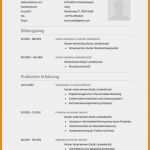 Vorlage Lebenslauf Ausbildung Einzigartig Kostenlose Lebenslauf Muster Und Vorlagen Für Deine