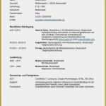 Vorlage Lebenslauf Ausbildung Großartig 14 Lebenslauf Vorlage Ausbildung