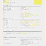 Vorlage Lebenslauf Ausbildung Hübsch 10 Ausbildung Lebenslauf Vorlagen123 Vorlagen123