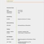 Vorlage Lebenslauf Ausbildung Luxus Bewerbung Medizinische Fachangestellte Vorlage Süß