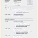 Vorlage Lebenslauf Ausbildung Wunderbar Neueste Lebenslauf Bewerbung Muster 2017 Lebenslauf