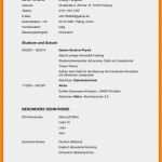 Vorlage Lebenslauf Englisch Cool 15 Lebenslauf Diagramm