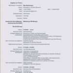 Vorlage Lebenslauf Englisch Elegant Lebenslauf Englisch Vorlage