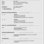 Vorlage Lebenslauf Englisch Großartig Englischer Lebenslauf Vorlage Hübsch Englisch Lebenslauf