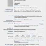 Vorlage Lebenslauf Englisch Gut 20 Lebenslauf Englisch Vorlage