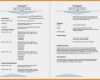 Vorlage Lebenslauf Englisch Luxus 11 Curriculum Vitae Vorlage Word