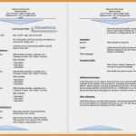 Vorlage Lebenslauf Englisch Luxus 11 Curriculum Vitae Vorlage Word