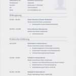 Vorlage Lebenslauf Englisch Luxus Frisches Vorlage Lebenslauf Englisch