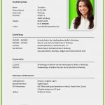 Vorlage Lebenslauf Gratis Beste Lebenslauf Muster Beispiel Muster Lebenslauf Vorlage
