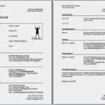 Vorlage Lebenslauf Gratis Luxus 14 Lebenslauf Vorlage Gratis