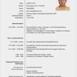 Vorlage Lebenslauf Mit Foto Bewundernswert Cv Petar Luketic