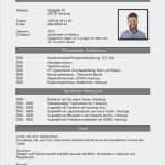 Vorlage Lebenslauf Mit Foto Elegant Lebenslauf Muster Kostenlos Lebenslauf Beispiel
