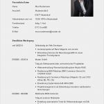 Vorlage Lebenslauf Mit Foto Luxus Tipps Für Lebenslauf Lebenslauf Beispiel
