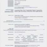 Vorlage Lebenslauf Pdf Bewundernswert 17 Pdf Vorlage Lebenslauf