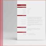 Vorlage Lebenslauf Pdf Elegant Lebenslauf Layout Als Bewerbungsvorlage Mit Anschreiben