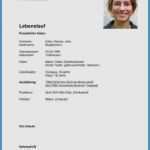 Vorlage Lebenslauf Pdf Fabelhaft Lebenslauf Schüler Vorlage Großartig Lebenslauf Vorlage