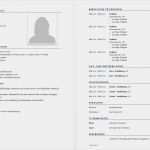 Vorlage Lebenslauf Pdf Gut Vorlage Lebenslauf Tabellarischer Lebenslauf Schweiz