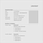 Vorlage Lebenslauf Pdf Inspiration Lebenslauf Vorlage Pdf Kostenlos Erstaunlich Vorlage 71