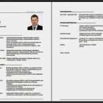 Vorlage Lebenslauf Pdf Schönste Lebenslauf Muster Als Vorlage