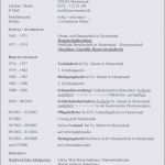 Vorlage Lebenslauf Schüler Beste Lebenslauf Vorlage Schüler Word