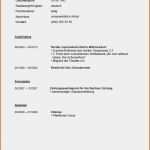 Vorlage Lebenslauf Schüler Elegant Lebenslauf Vorlage Praktikum 9 Klasse 5 Lebenslauf