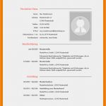 Vorlage Lebenslauf Tabellarisch Angenehm 17 Lebenslauf Vorlage Tabellarisch