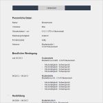 Vorlage Lebenslauf Word Kostenlos Angenehm Tabellarischer Lebenslauf Muster Bewerbung