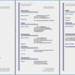 Vorlage Lebenslauf Word Kostenlos Hübsch Lebenslauf Vorlage Word Kostenlos Word – Xua