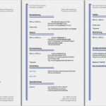 Vorlage Lebenslauf Word Kostenlos Süß Lebenslauf Vorlagen Muster Kostenlose Word Vorlage