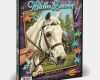 Vorlage Malen Nach Zahlen Für Kinder Luxus Malen Nach Zahlen Schipper Pferde Kinder Pferd Malvorlage